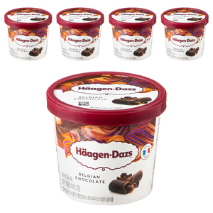 하겐다즈 벨지안 초콜렛 (냉동)