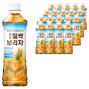 광동 밀싹 보리차, 500ml, 20개