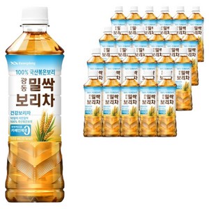 광동 밀싹 보리차 음료, 500ml, 24개