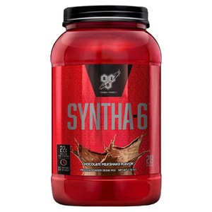 신타6 단백질 파우더 초코맛, 1.32kg, 1개