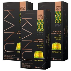 카누 바리스타 머신 전용 캡슐커피 에티오피아 예가체프, 9.5g, 10개입, 3개