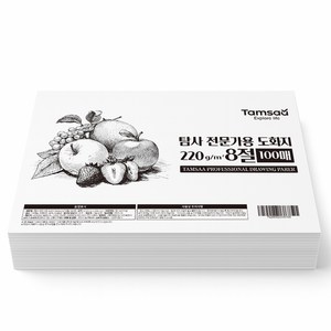 탐사 전문가용 도화지 220g 100p, 8절, 1개