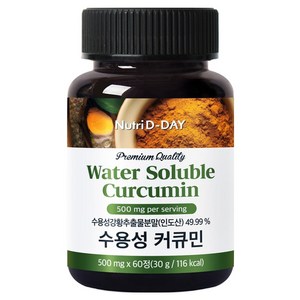 뉴트리디데이 프리미엄 수용성 강황 커큐민 60p, 30g, 1개