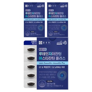 종근당 20100 루테인 지아잔틴 아스타잔틴 플러스 영양제, 60정, 3개