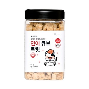 뽀시래기 고양이 큐브 트릿 동결건조, 연어, 120g, 1개