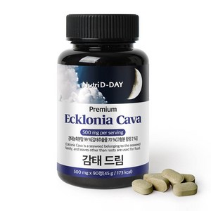 뉴트리디데이 감태 드림 타블렛 영양제, 90정, 1개