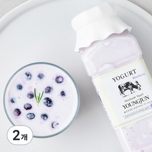 영준목장 수제 요거트 블루베리, 2개, 500ml