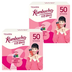 티젠 콤부차 베리