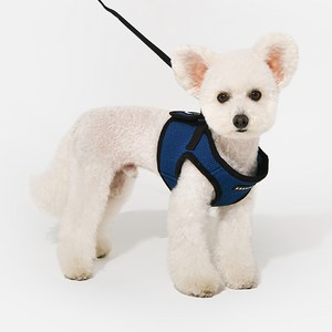 퍼피아 강아지 소프트 베스트 하네스 AH305 B스타일, 로얄블루, XS (가슴둘레 2..., 1개