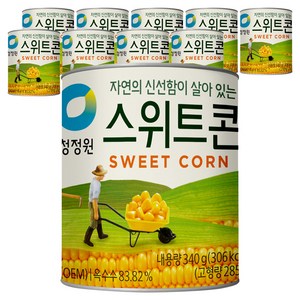 청정원 스위트콘 통조림, 340g, 10개