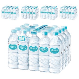 백산수, 500ml, 100개