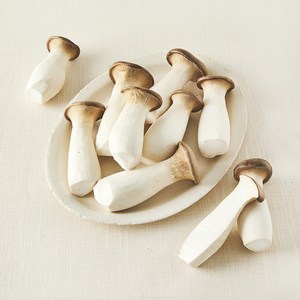친환경 뿌리가 손질된 새송이버섯, 900g, 1개