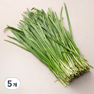 곰곰 부추, 300g, 5개