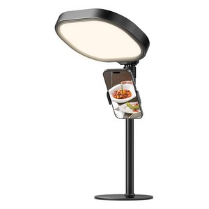 조이트론 LED 촬영 휴대용 조명 + 스마트폰 홀더 거치대 세트