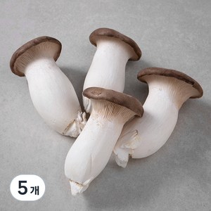 친환경 새송이버섯, 400g, 5개