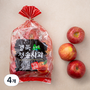 다조은 청송 주왕산 당도선별 사과, 1.5kg(중과, 6~7입), 4개