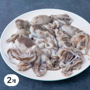 어부심 서해안 산지직송 자연산 햇 알배기 주꾸미 (냉장), 500g, 2개