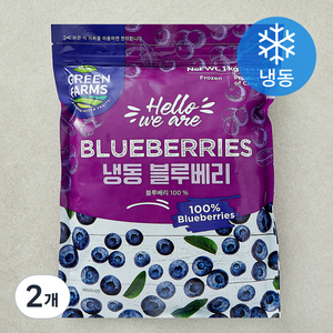 그린팜 칠레산 블루베리 (냉동), 1kg, 2개