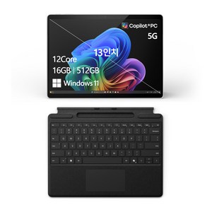 마이크로소프트 서피스 프로 플래티넘, 스냅드래곤, 512GB, 16GB, WIN11 Home, 2024.08