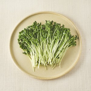 국내산 무농약 무순, 60g, 1개