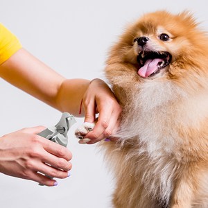 바비온 반려동물 안전 발톱깎이 85 x 140 mm