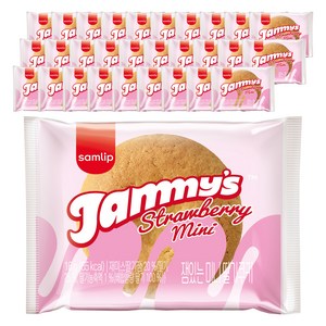 재미스 잼있는 미니딸기쿠키, 16g, 60개