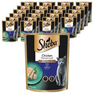 쉬바 1세이상 고양이 간식 파우치, 닭, 70g, 24개