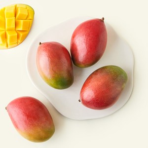 이웃마을 브라질산 애플망고, 1.9kg(4~5개..., 1개