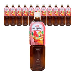 담터 자몽허니블랙티, 1.5L, 12개