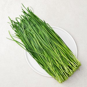 국내산 부추, 500g, 1개