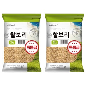 대구농산 건강한밥상 국산 찰보리, 2kg, 2개