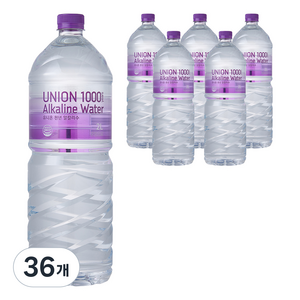 유니온천년알카리수, 2L, 36개