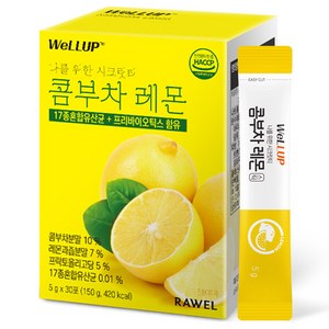 로엘 웰업 나를 위한 시크릿티 콤부차 레몬맛 분말스틱