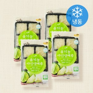 우리땅 웰팜넷 유기가공식품 인증 다진양배추 (냉동), 100g, 4개