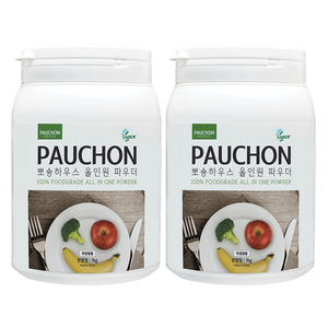 뽀숑하우스 올인원 파우더, 1kg, 2개