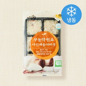 우리땅 무농약 인증 다진 새송이버섯 (냉동), 100g, 1개