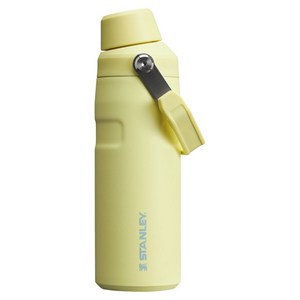 스탠리 아이스플로우 에어로라이트 패스트플로우 텀블러, 포멜로, 473ml, 1개