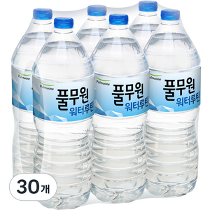 풀무원샘물 워터루틴, 2L, 30개