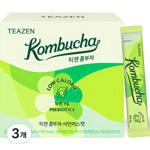 티젠 콤부차 샤인머스캣