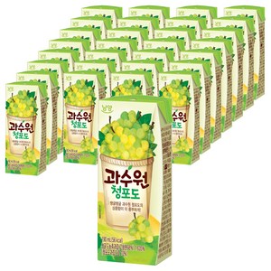 남양과수원 청포도, 190ml, 48개