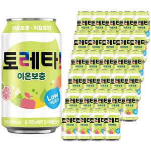토레타 이온음료, 340ml, 48개