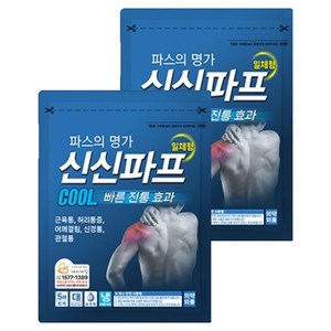 신신제약 신신파프 쿨 파스, 5개입, 2개