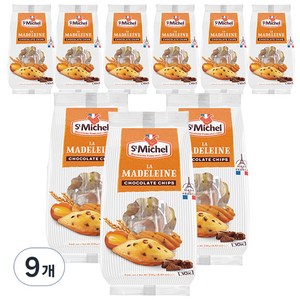 생미쉘 초코칩 마들렝, 250g, 9개