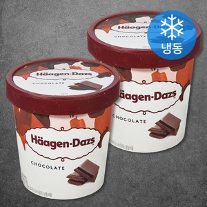 하겐다즈 파인트 초콜릿 (냉동)