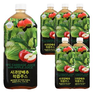 파모빗 사과 양배추 착즙 주스, 1L, 6개