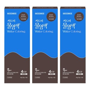 씨드비 프리미엄 물염색 시즌2 염모제 4p, 다크브라운, 3개