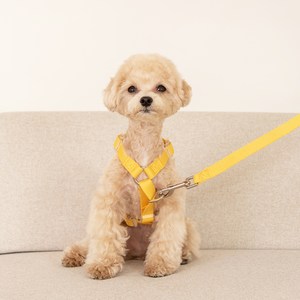 요기쏘 마이독 앞섬방지 H형 하네스 + 핸즈프리 리드줄 세트, 옐로우(하네스), 옐로우(리드줄)