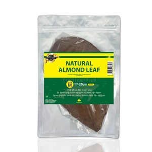 모비딕 네츄럴 알몬드 잎 M 10p