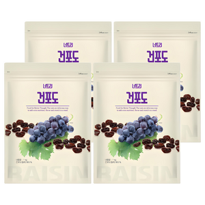 너트리 건포도, 1kg, 4개