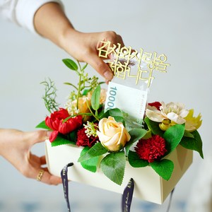 아스파시아 비누꽃 라비니아 카네이션 반전 용돈 박스 + 메세지픽 + 용돈비닐 20p + 쇼핑백 세트, 레드, 1개